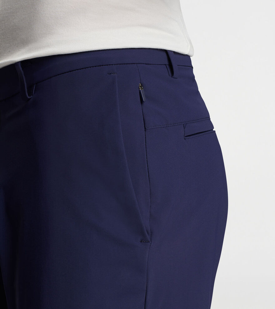 Bingham Performance Short image number 5